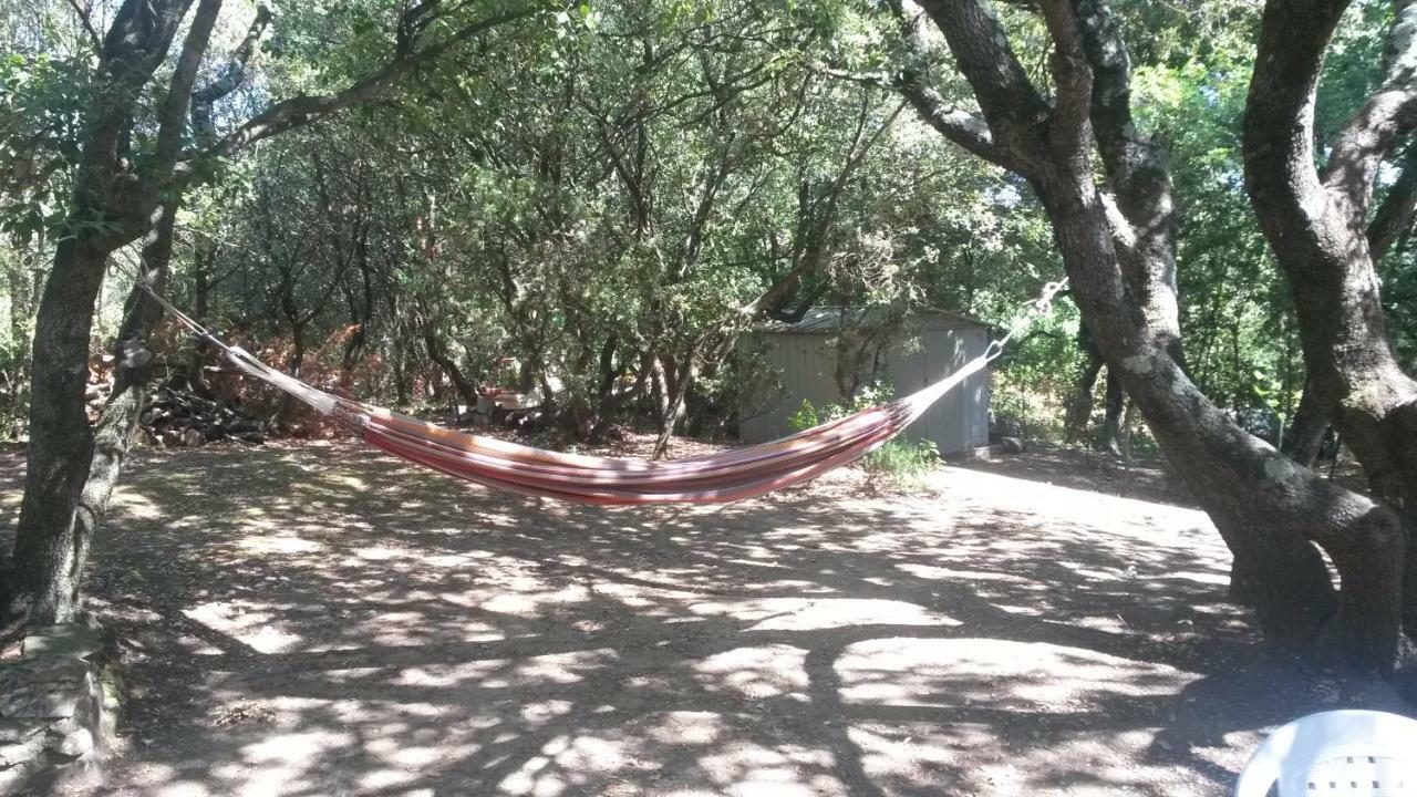 La Casita Villa Avec Piscine Pres D'Uzes Saint-Laurent-la-Vernede Luaran gambar